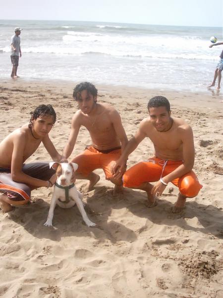 moi et rarik et sala7